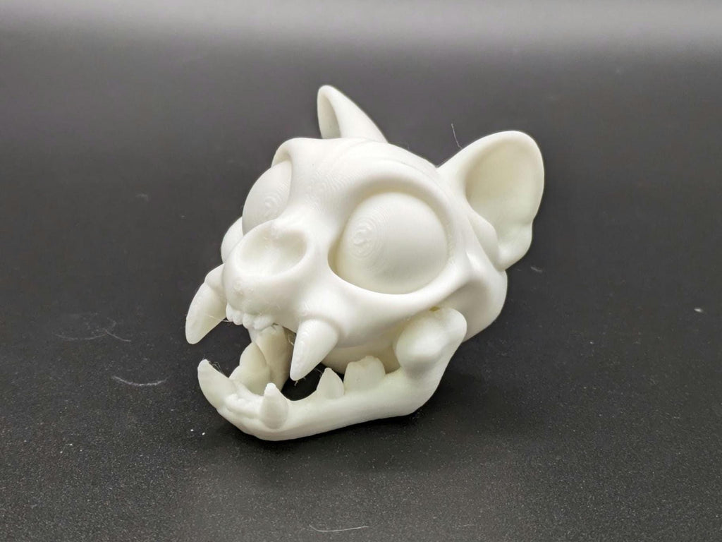 Skeleton Cat Skull Head 3D Printed Magnet