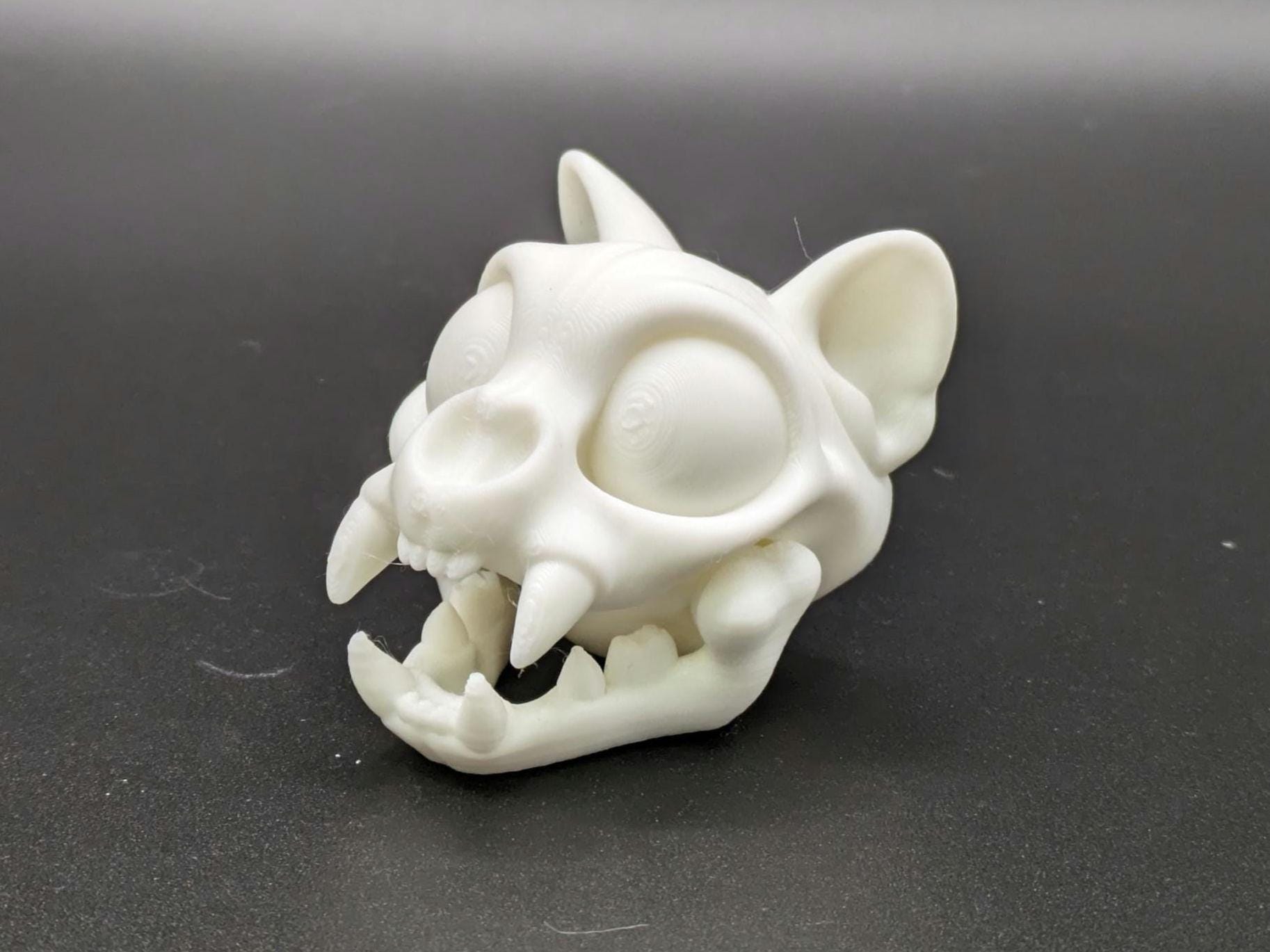Skeleton Cat Skull Head 3D Printed Magnet