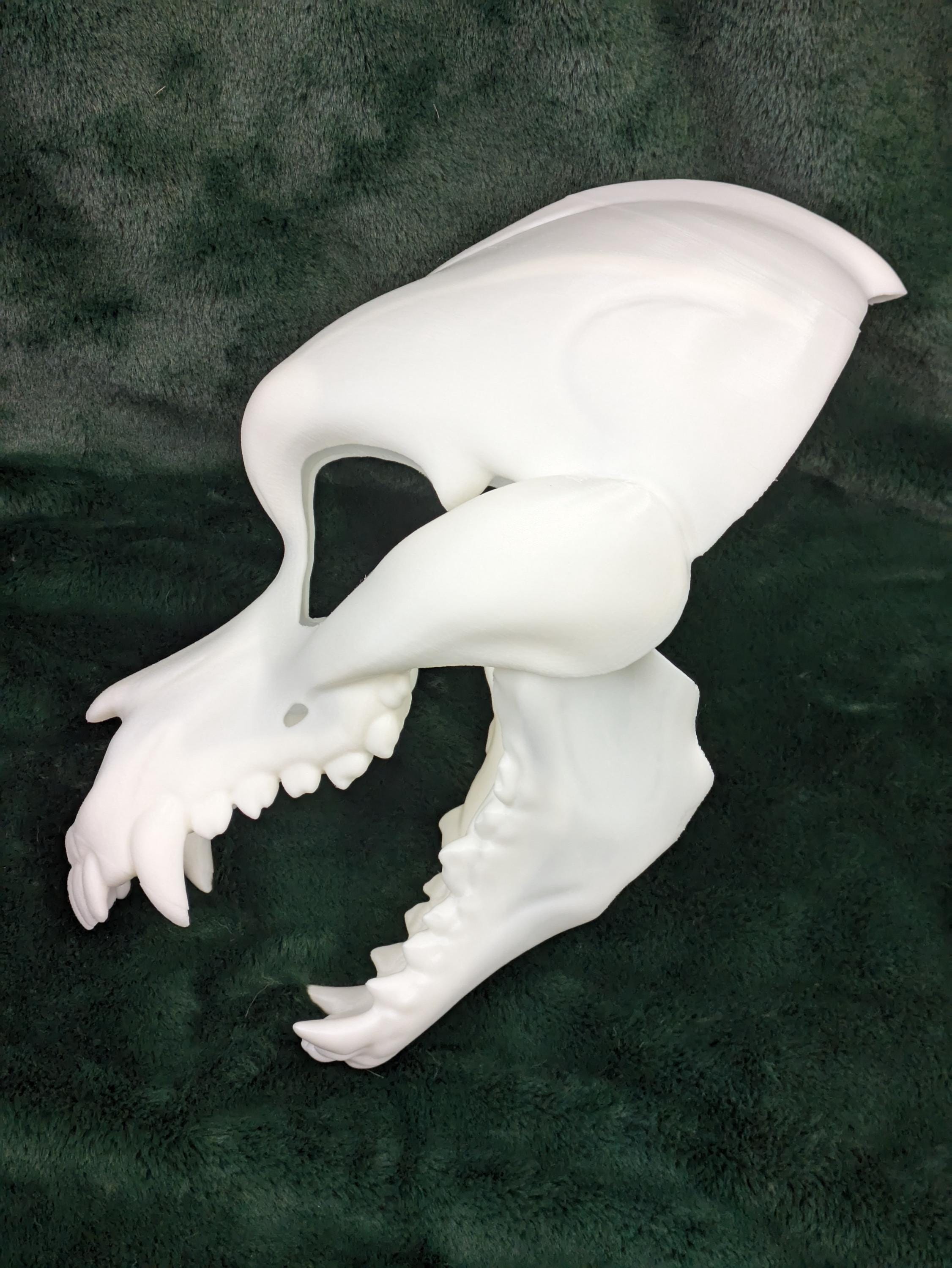 Toony Canine Skull: Wolf or Dog Skully - Hinged Jaw Mask or Fursuit Head Base / Head Blank
