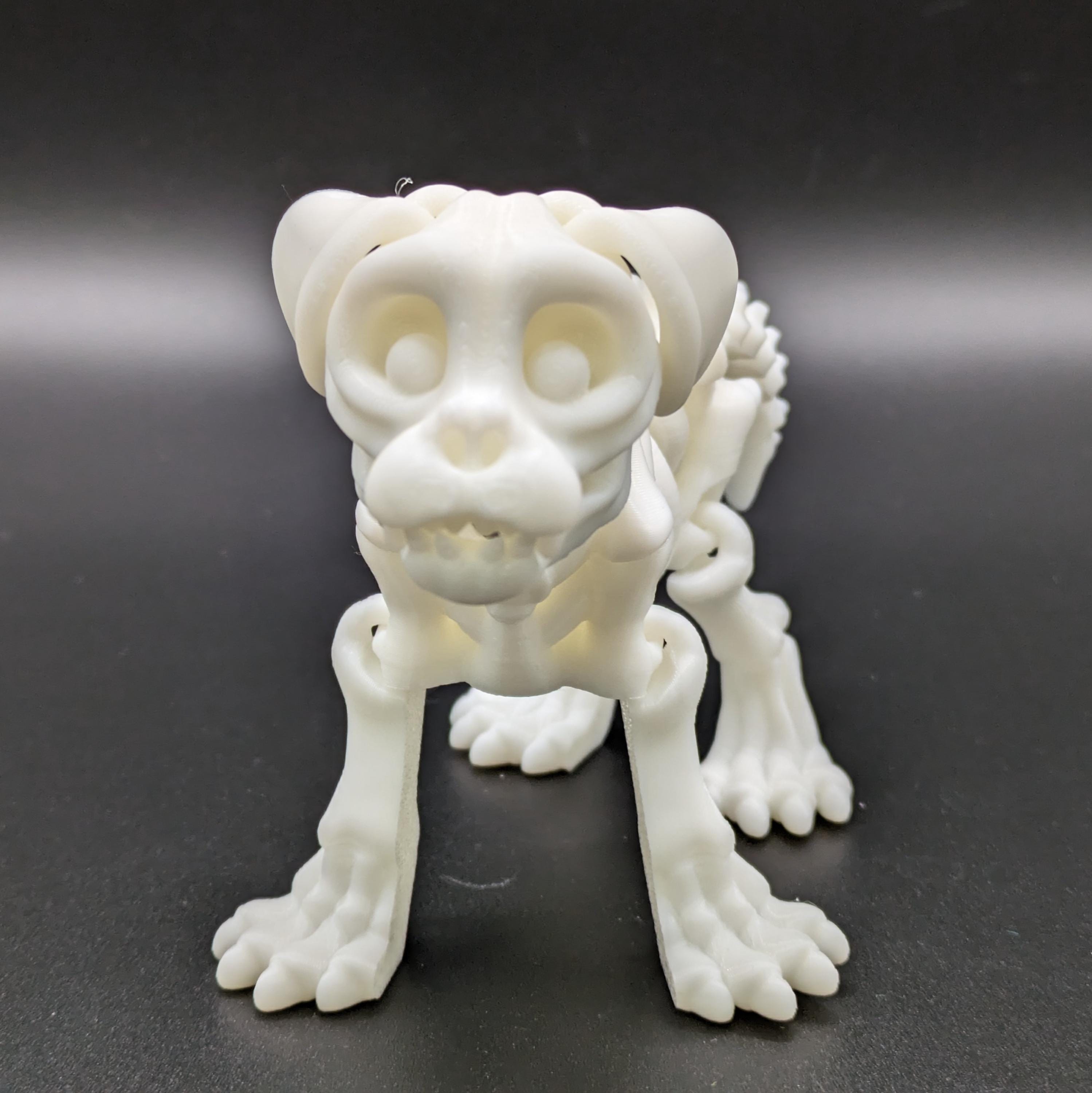Skeleton Dog Puppy Flexi Fidget