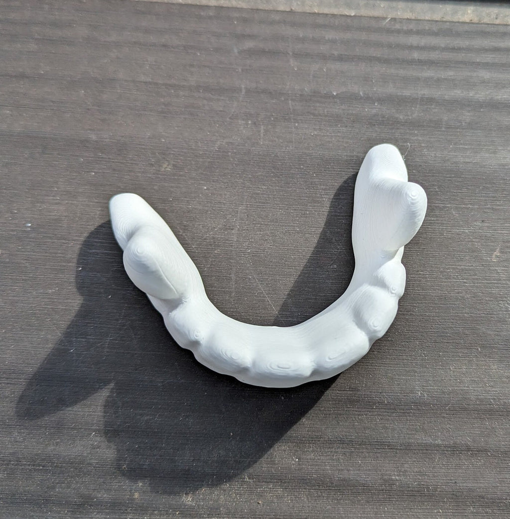 Fursuit Teeth - Small Canine lower front