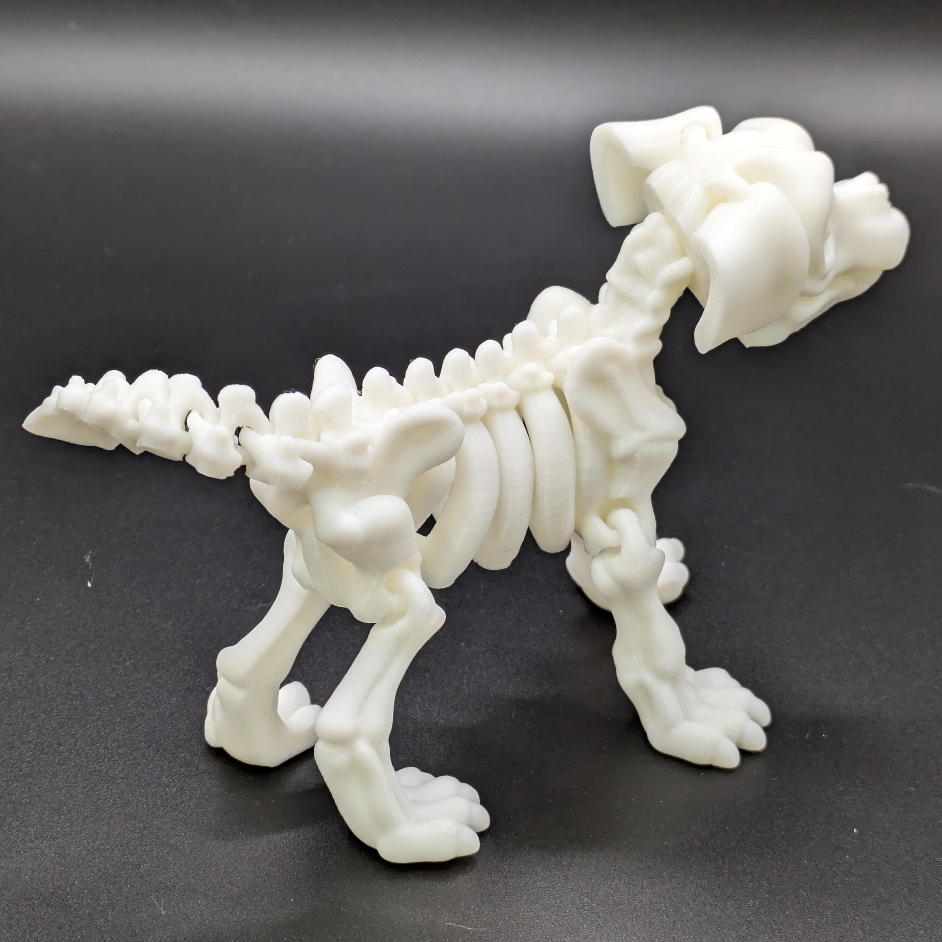 Skeleton Dog Puppy Flexi Fidget