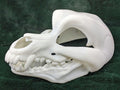 Toony Canine Skull: Wolf or Dog Skully - Hinged Jaw Mask or Fursuit Head Base / Head Blank
