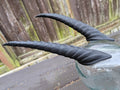 Goat-style Demon / Tiefling Horns - 10 inches