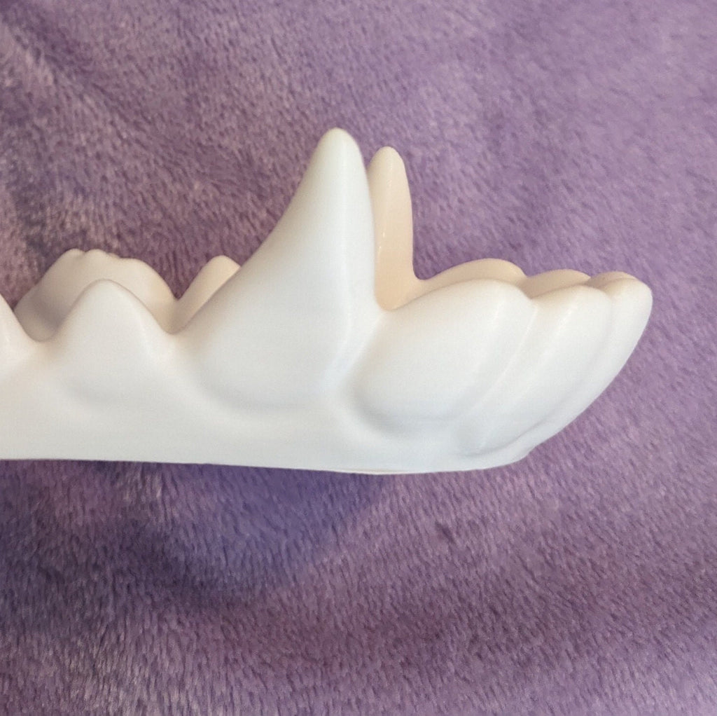 Fursuit Teeth - Medium Canine lower front teeth- ‘Husky’