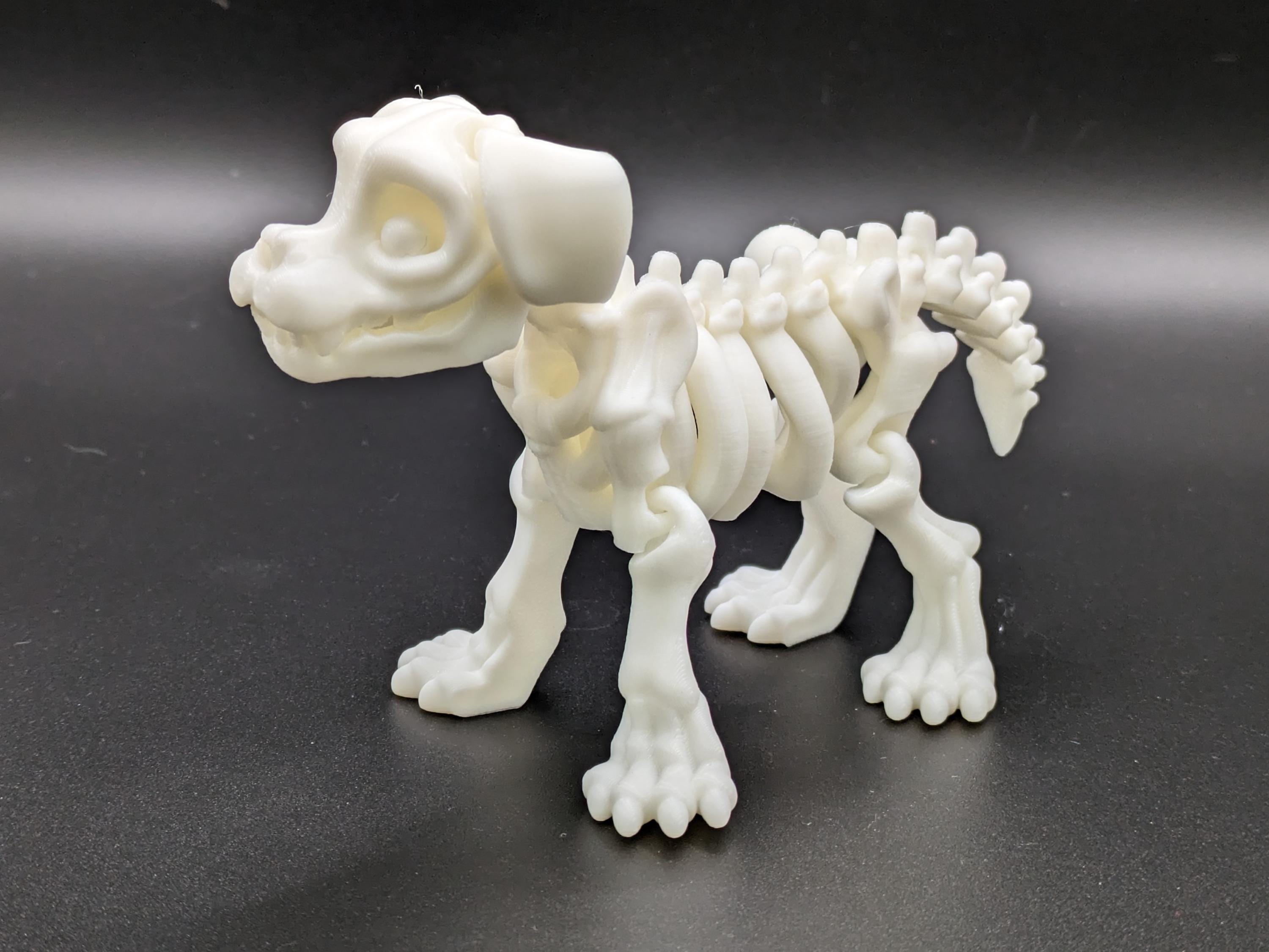 Skeleton Dog Puppy Flexi Fidget